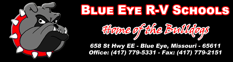 Blue Eye Banner